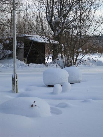 2010_talvi 016.jpg